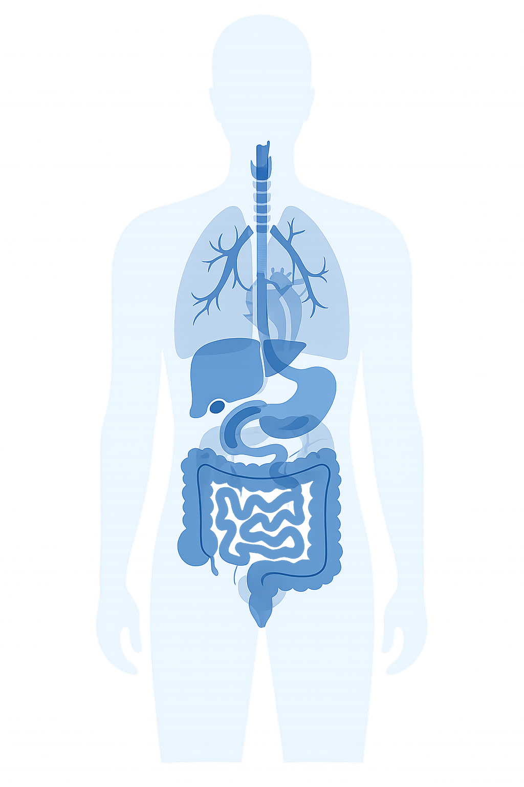 Body_plot
