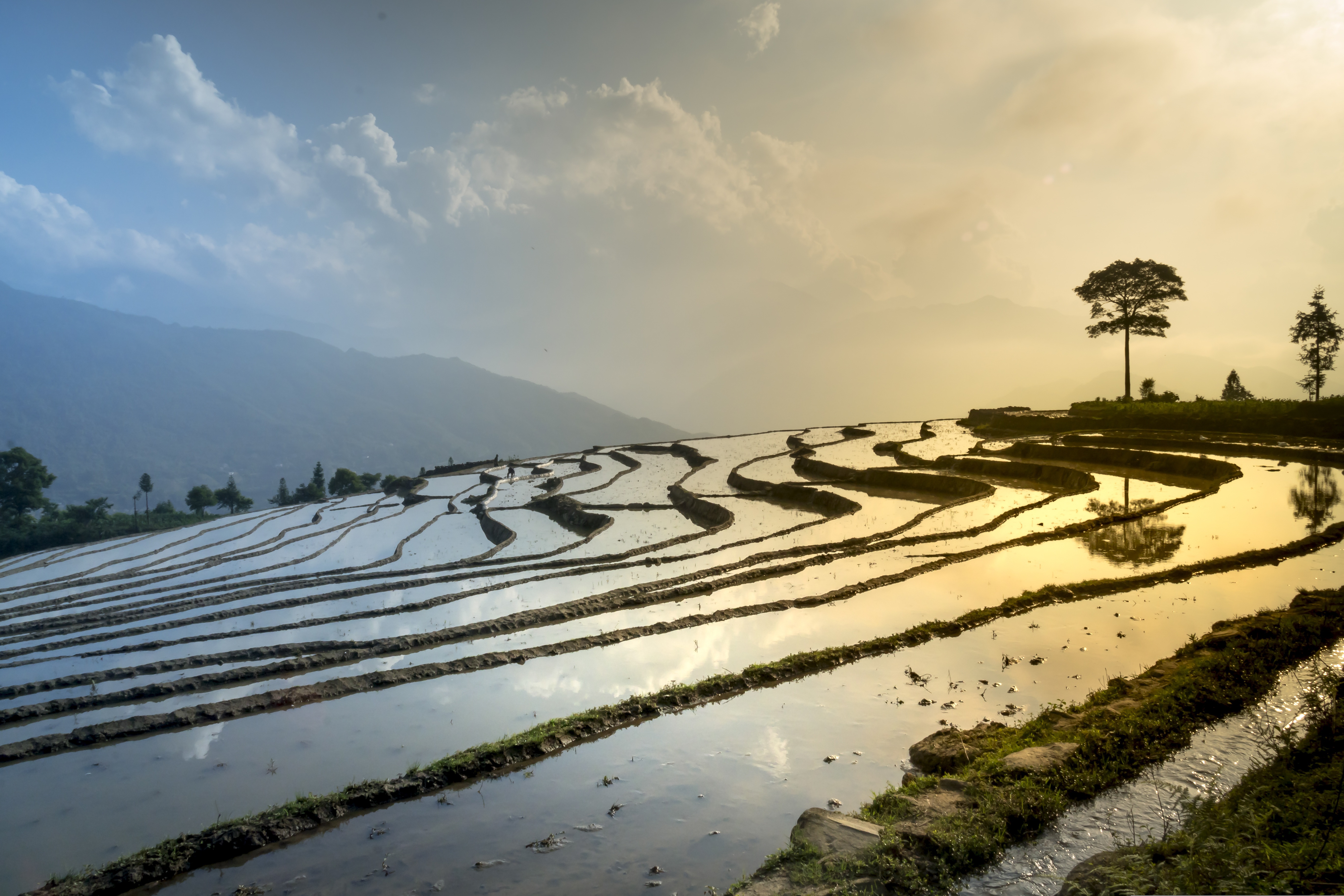Sustainable farming landscape